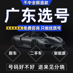 广州车牌选号深圳东莞佛山12123新车新能源汽车自编选号自选车牌