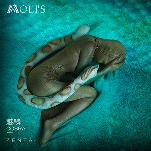 molis zentai 莫丽斯2021新款 魅鳞蛇纹蛇皮烫金全包紧身衣
