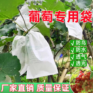 水果套袋葡萄袋子防虫防鸟防水果袋包葡萄套袋专用套葡萄纸袋透气