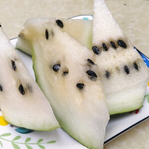 甘肃靖远特色大变小籽瓜砂田特产农产品10斤装