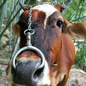 老式牛铃铛超响大号羊铃铛声大防盗防走失牛羊放牧专用挂件铃响铃