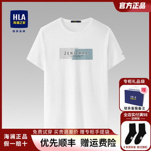 HLA/海澜之家短袖t恤男2024夏季新款潮牌宽松休闲圆领体恤上衣男