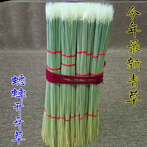 蟋蟀用具大全斗蟋蟀工具蟋蟀斗盆蛐蛐青草开牙草蟋蟀过笼鸣虫用品