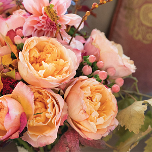 伊迪斯/伊迪丝 切花月季花苗浓香大花多季阳台庭院花园盆栽花卉