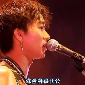 黄家驹同款耳环