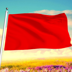 大红旗纯色空白红旗彩旗飘旗 加厚全红旗 纯红旗5号96* 64厘米1号2号3