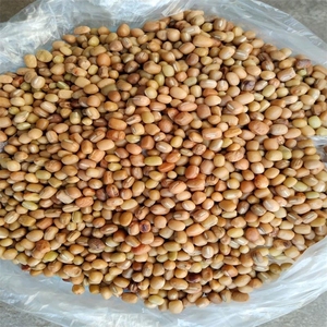 贵州毕节土特产干货杂粮小豆米食用酸菜汤农家肥自种散装3斤包邮