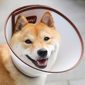 伊丽莎白圈大型犬金毛头罩狗狗头套防抓咬防舔猫宠物伊利沙白项圈