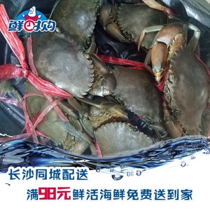 长沙海鲜配送