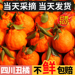 四川不知火丑橘10斤新鲜水果应当季耙耙粑粑桔子丑柑橘子整箱包邮