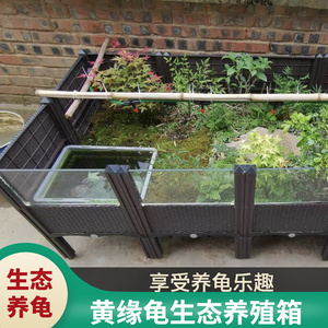 黄缘龟饲养箱安缘台缘专用生态植物造景环境养殖大型乌龟缸玻璃