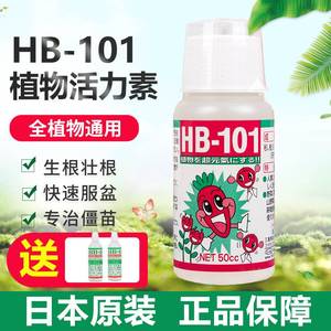原装日本进口HB101植物活力素颗粒肥料多肉月季兰花生根液营养液