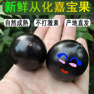 105年新鲜水果台湾阿根廷乔尼尔艾斯卡巨红钻斑叶禾兴嘉嘉宝果2斤