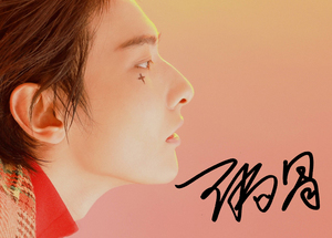 王瑞昌签名-淘宝拼多多热销王瑞昌签名货源拿货 - 阿里巴巴货源