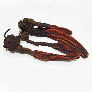 硬劲草 金枪不倒 云南苗家特产 野生中药材泡酒料泡水500克包邮