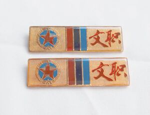 库存正品92文职干部胸牌胸标老式胸章老货纪念品收藏