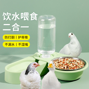 鸽子食槽小鸡鸭子自动喂食器饮水器冬季鸽粮料桶鹦鹉用品用具食碗