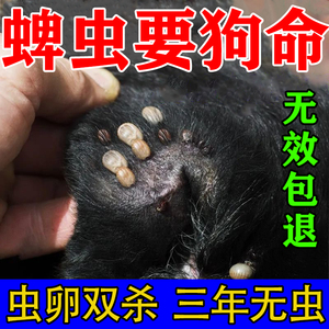 蜱虫专用药狗狗体外驱虫药宠物猫狗通用除狗虱子跳蚤药杀虫剂喷雾