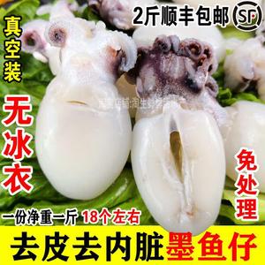 去皮去内脏墨鱼仔新鲜速冻海鲜小乌贼墨斗鱼火锅烧烤食材无冰一斤