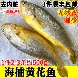 黄花鱼新鲜海捕大黄鱼海鲜鲜活海鱼鲜鱼速冻生鲜一斤2-3条顺丰