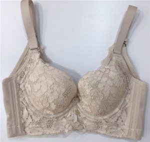 专柜同款820001六月玫瑰氧塑丰姿聚拢文胸中厚bc杯养生调整型内衣