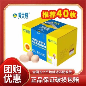 黄天鹅40枚可生食鲜鸡蛋无菌新鲜礼盒温泉蛋礼品正品单枚53克+