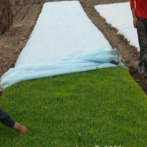草坪水稻育秧育苗无纺布 农用花草树苗育种土工布 覆盖地膜透气膜