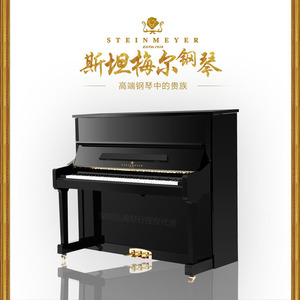 德国斯坦梅尔钢琴全新高端立式家用教学专业演奏黑色TS300纪念版