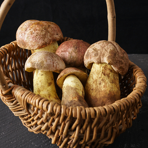 云南野生菌新鲜白牛肝菌见手青蘑菇特产菌菇野山菌大脚菇白葱菌菇