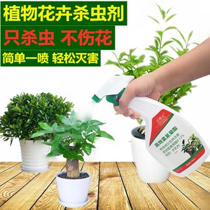 花卉土壤杀虫剂植物蚂蚁灭花盆小飞虫除虫剂去绿植黑飞蚜虫盆栽药