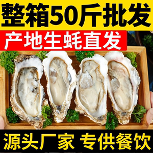 鲜活生蚝新鲜牡蛎超大特大海蛎子整箱酒店烧烤商用批海发鲜水产