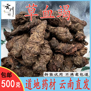 云南中药材草血竭 回头草 一口血 拳参 草河车土血竭正品包邮