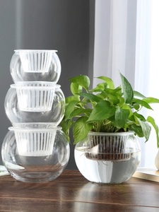 创意高级水培瓶塑料植物高透花瓶容器绿萝鱼花共养缸水养摆件器皿