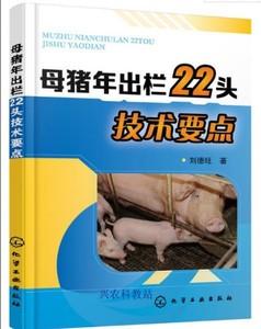 母猪养殖技术视频