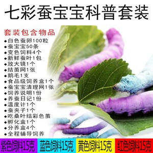 新款的蚕蛋蚕卵新鲜桑叶包邮七彩蚕宝宝套装学生养蚕彩色金丝蚕活