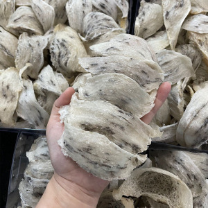 马来西亚天然极轻原始毛燕燕窝燕盏燕条孕妇期滋补品配送挑毛工具