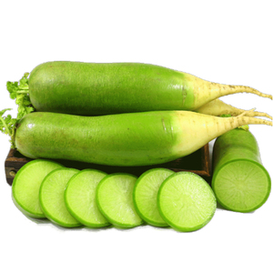 【青皮萝卜新鲜5斤】青皮萝卜新鲜5斤品牌,价格 - 阿里巴巴