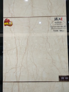 宏宇陶瓷hpac180112 180111 180110 180109 180108客餐厅地砖