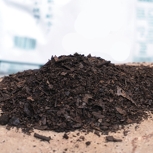 腐叶土腐熟腐殖土通用营养土君子兰多肉蓝莓杜鹃酸性土壤养花种菜