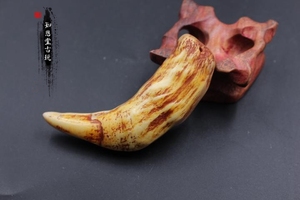 仿虎牙大猫牙吊坠挂件 文玩收藏动物牙齿