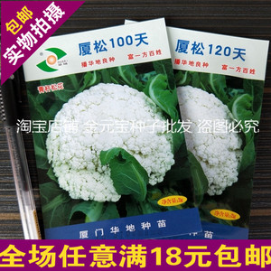 包邮小袋3克华地厦松80天100天120天松花菜种子花椰菜青梗松花