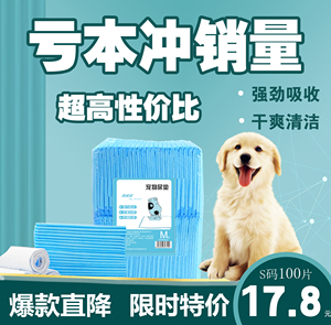 狗狗尿垫加厚除臭吸水纸宠物尿片尿布护理垫隔尿垫诱导引导上厕所