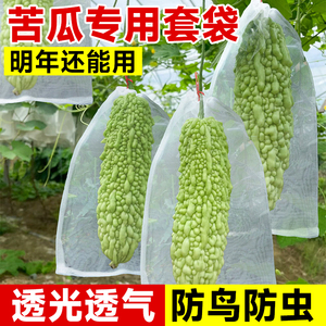 苦瓜套袋专用果袋丝瓜青瓜甜瓜黄瓜玉米防鸟防虫透气透光果蔬套袋
