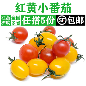 红黄小番茄450g新鲜蔬菜红黄圣女果双色小西红柿樱桃番茄沙拉食材