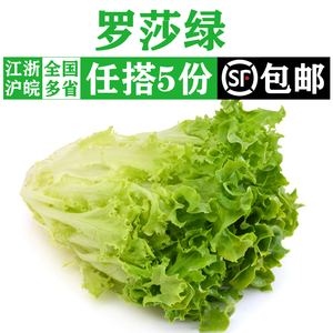 新鲜罗莎绿500g 花边花叶绿叶生菜西餐健身轻食生吃沙拉蔬菜食材