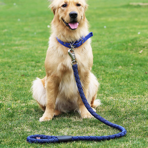 狗狗牵引绳马犬专用中型