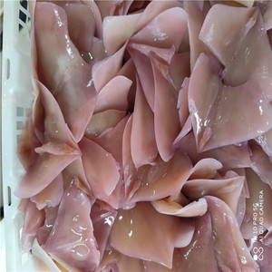 包邮鱿鱼8斤水发鱿鱼耳朵冷冻火锅食材重庆热销食材冒菜火锅真空