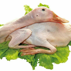 冻麻鸭整箱