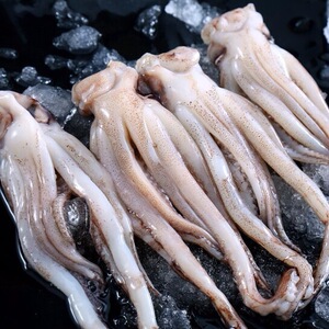 鱿鱼头冷冻鱿鱼6斤干货鲜水产冰冻货商用鱿鱼串串铁板烧烤包邮