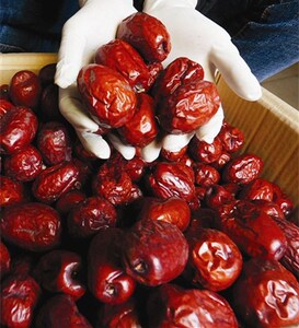 甘肃景泰特产大枣 大红枣